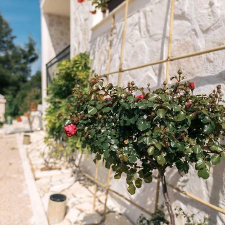 Apartmán Hedon-Stone Starigrad Paklenica Exteriér fotografie