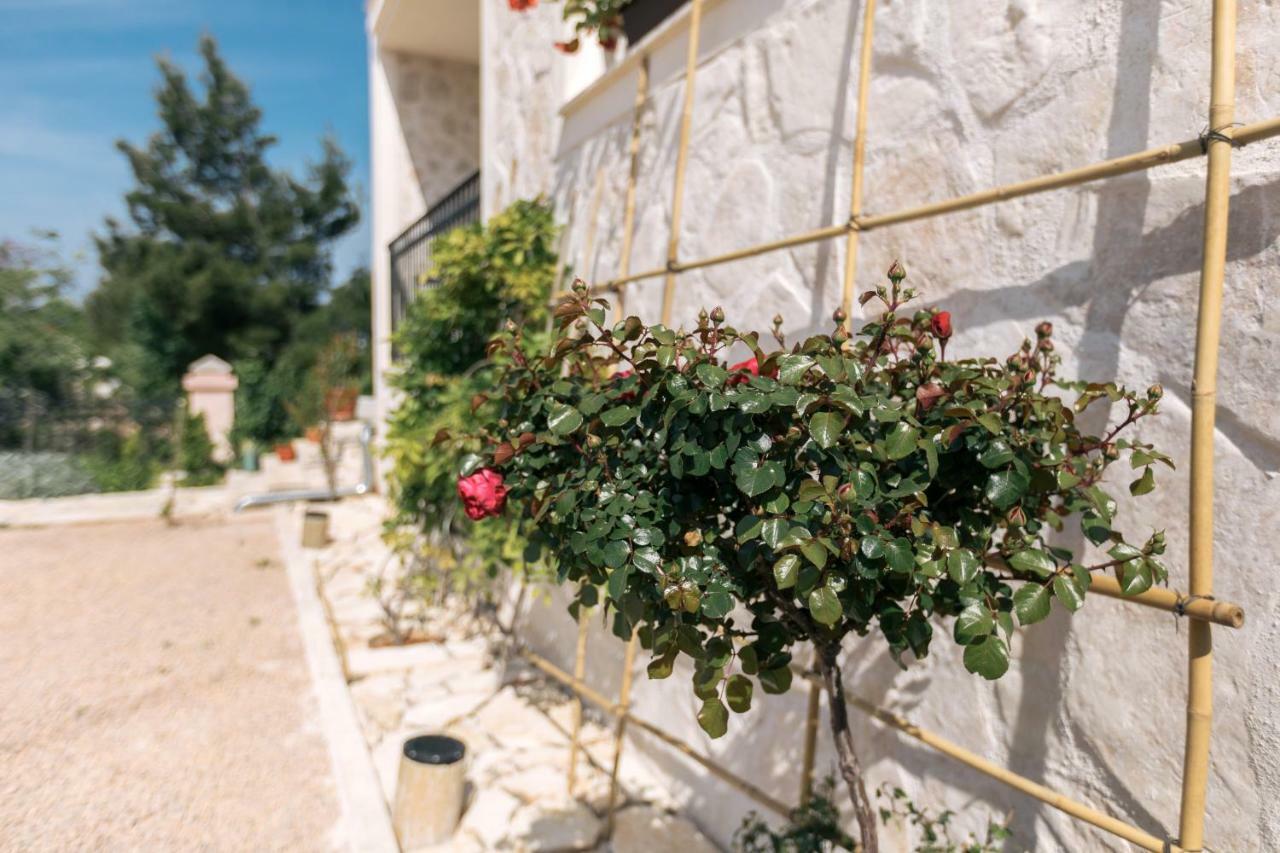 Apartmán Hedon-Stone Starigrad Paklenica Exteriér fotografie